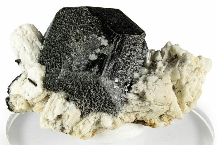 Lustrous Black Tourmaline (Schorl) Crystal on Feldspar - Namibia #348765